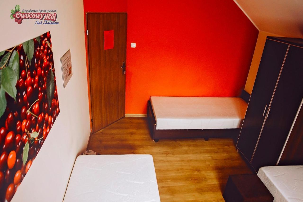 Owocowy Raj Nad Zalewem Villa Modla Krolewska Exterior foto