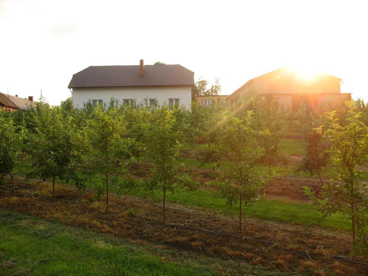Owocowy Raj Nad Zalewem Villa Modla Krolewska Exterior foto